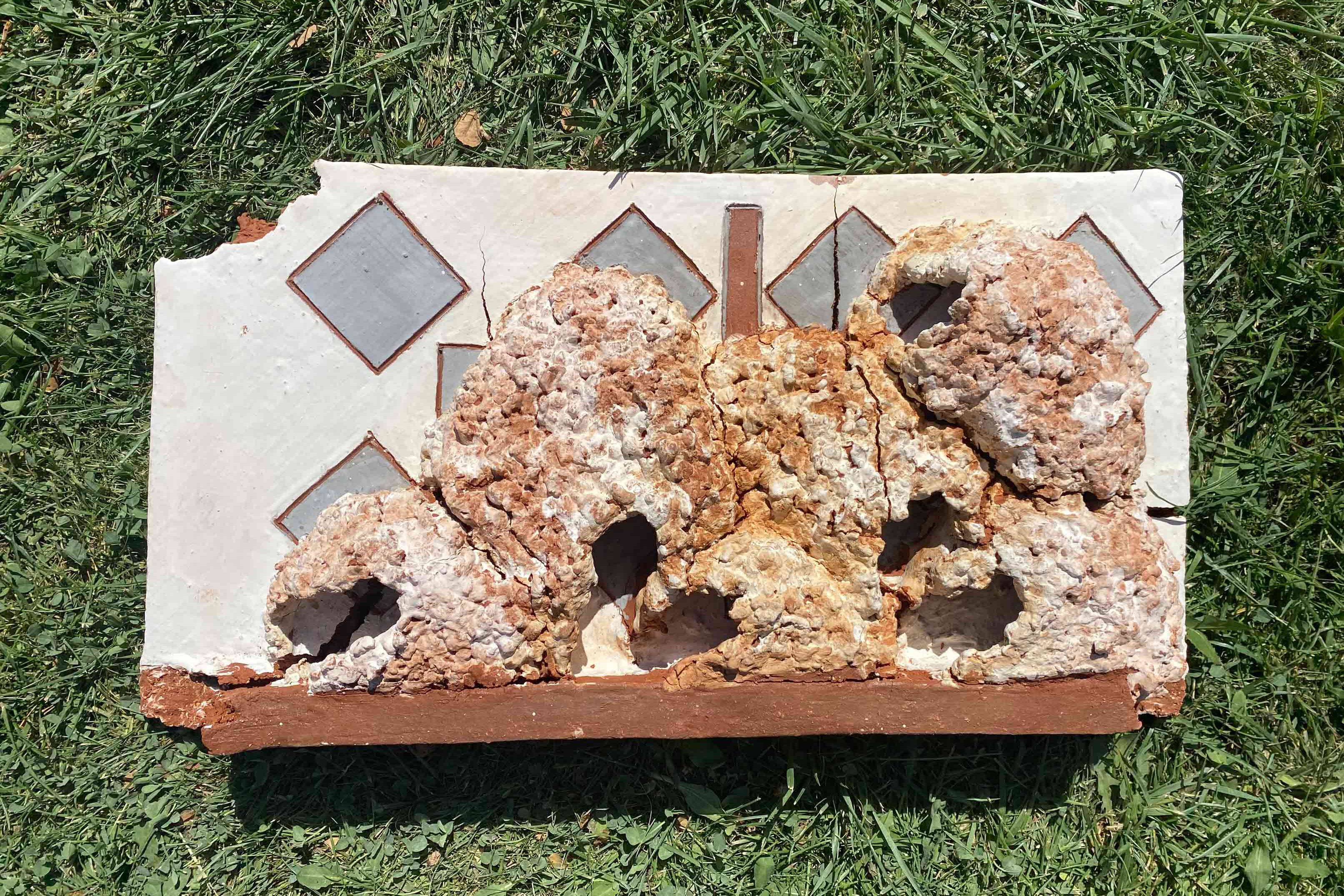 schwalbennest-gebrannt Die Schwalbennester aus Ton nach dem Brennen